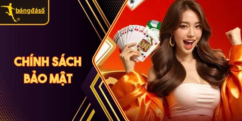 Tổng quan các thông tin nổi bật về chính sách bảo mật